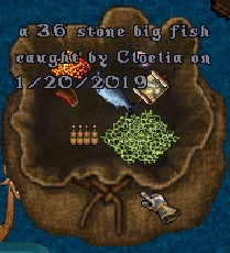 fish1.jpg