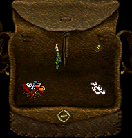dried.png