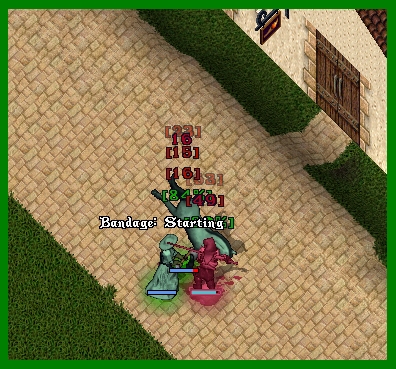1invasion1.jpg