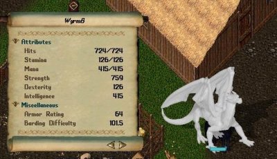 lawn elder_1-2_20.06 (2).jpg