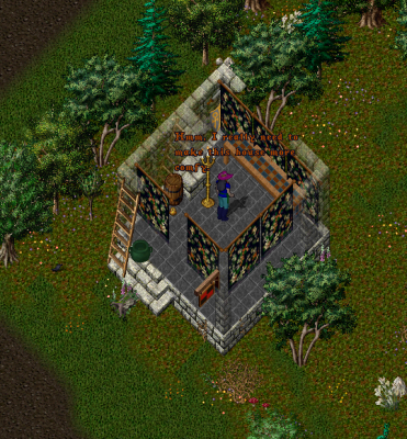 A1.png