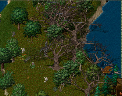 Forest.png