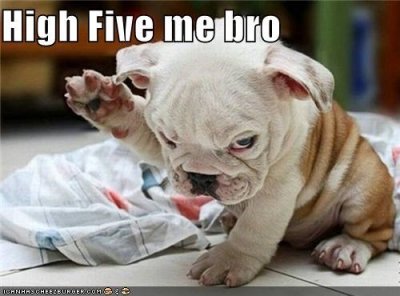 high-five.jpeg