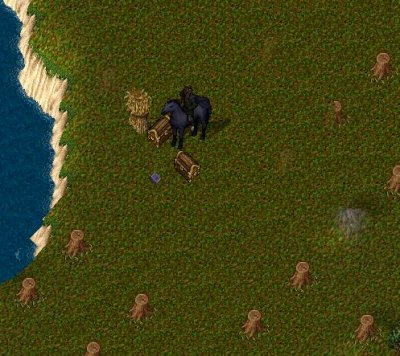 Grave.JPG