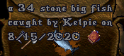 fish34.png