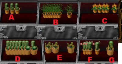 plantsell123.png