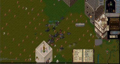 Bulls.jpg