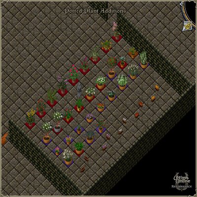 P93_PottedPlants2.jpg