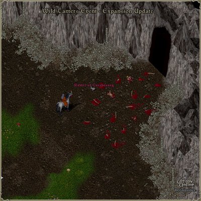 P93_WildTamers_08a.jpg