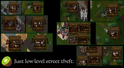 Just low level street theft..jpg
