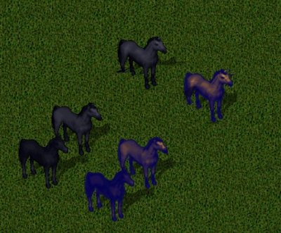 2744mare.jpg