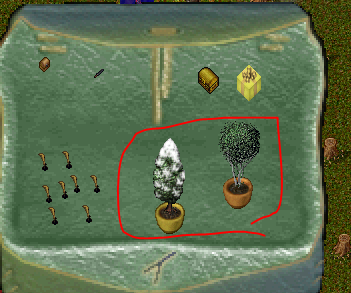 tree.PNG
