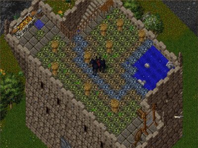 roof.jpg