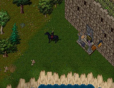 yard.jpg