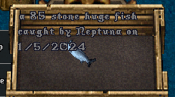 upload_2024-1-5_21-51-45.png