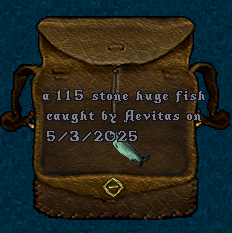 upload_2025-5-3_2-42-9.png