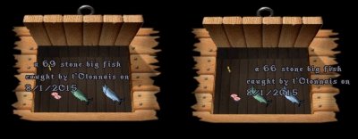 here fishes.jpg