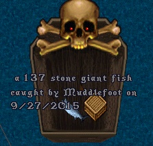 137b.jpg