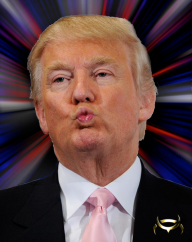 Donald J Trump