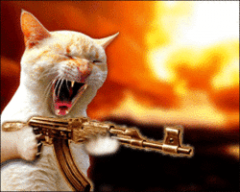Machinegun Matty