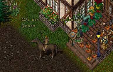 01.jpg