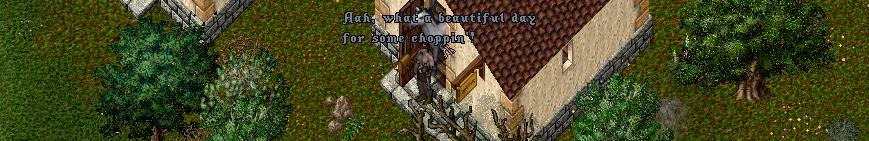 banner.jpg