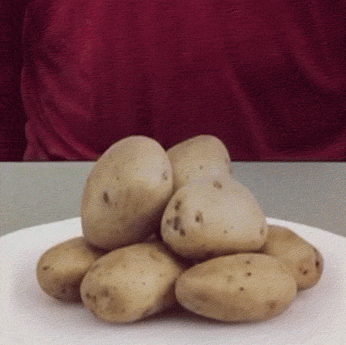 C241B2CF-F17F-4DED-936A-95EAF7621287.gif