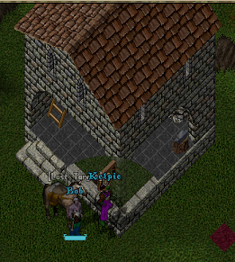 workshoptobob.png
