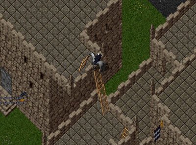 3.JPG
