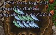 Marros Pegason_5-7_03.26.jpg