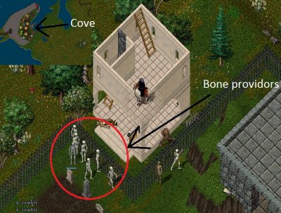Cove GY.jpg
