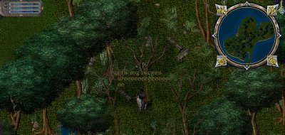 MY ISLAND.jpg