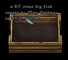 67.JPG