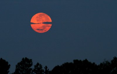 moon.jpg