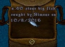 40.jpg