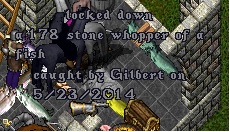 fish.jpg