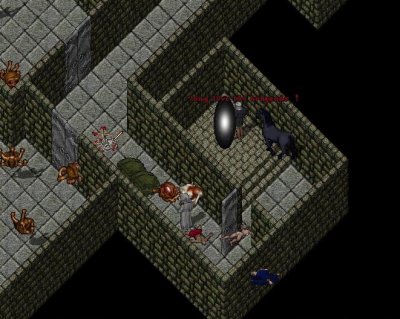 long live the brigands.jpg