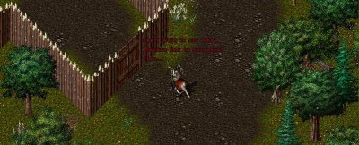 dreg returns to camp.jpg