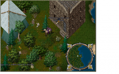 CampTower.png