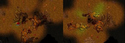 finalbattle.jpg