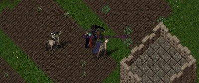 kidnapping03.jpg