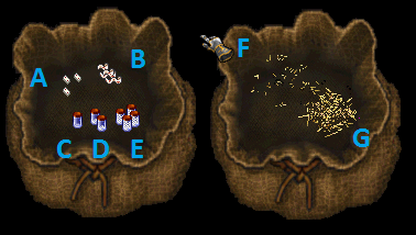 Rares.png