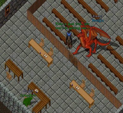 BadYinJudge.jpg