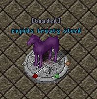 cupid steed 2.JPG