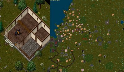 Free YEw Patio.JPG