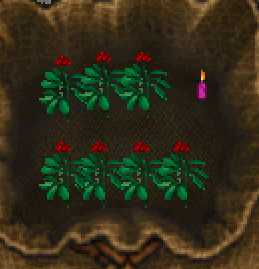 rosesandcandel.png