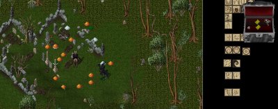Capture.JPG