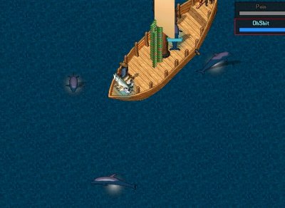 Dolphins.jpg