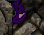 Sandals 4.png