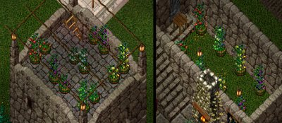 Colored plants demo.jpg